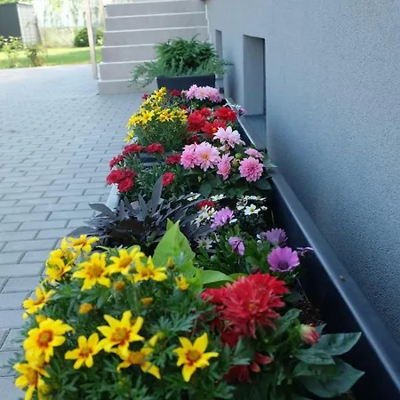 Pod Brezami** Nyitra