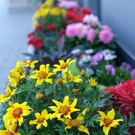 Vendégház Pod Brezami** Nyitra